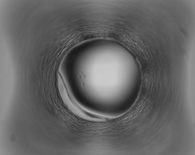 X0000115841057200911131526