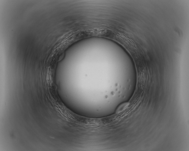 X0000115841058200911131526