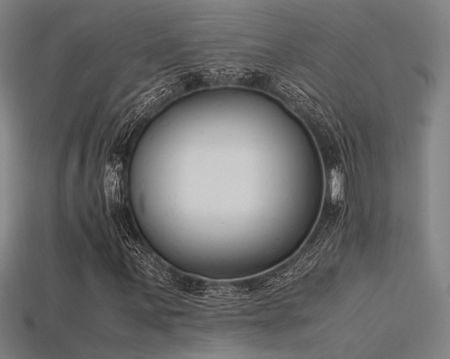 X0000115841059200911131526