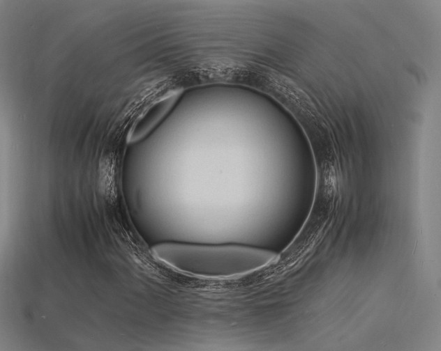 X0000115841060200911131526