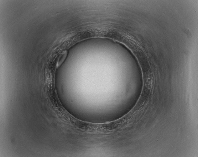 X0000115841061200911131526