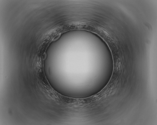 X0000115841062200911131526