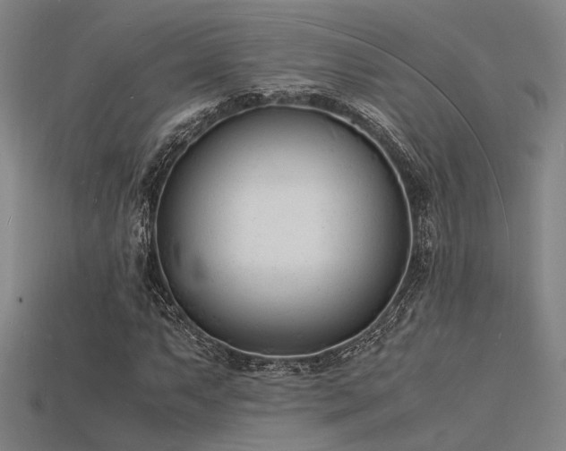 X0000115841063200911131526
