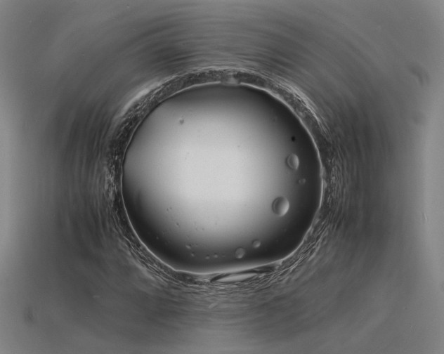 X0000115841064200911131526