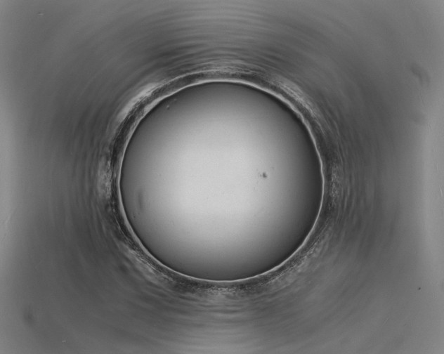 X0000115841067200911131526
