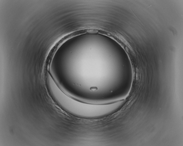 X0000115841068200911131526