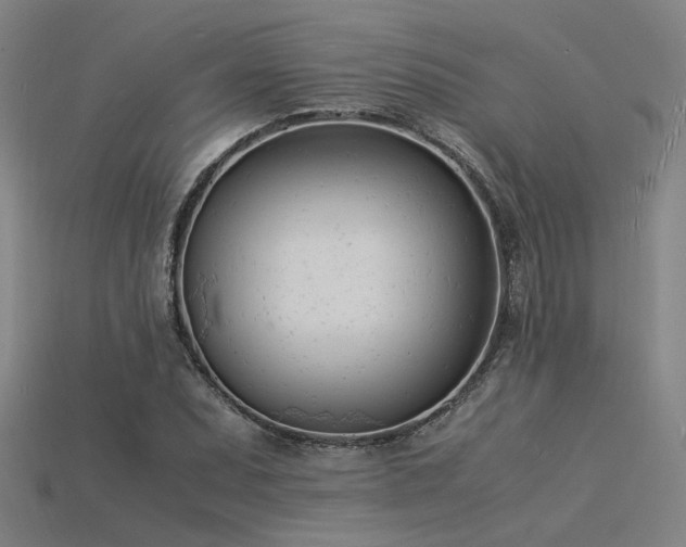 X0000115841071200911131526
