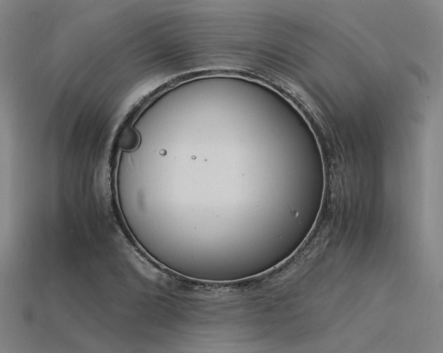 X0000115841072200911131526