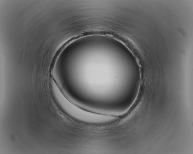 X0000115841073200911131526
