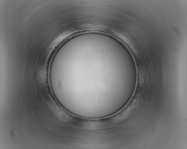 X0000115841074200911131526