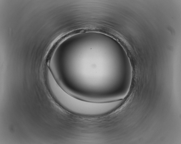X0000115841075200911131526