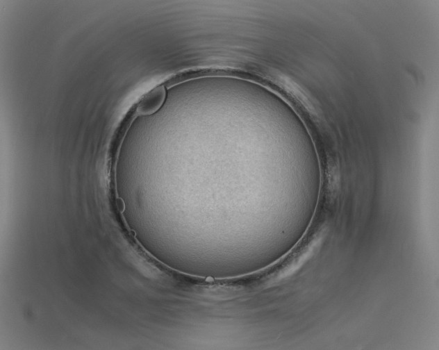 X0000115841077200911131526