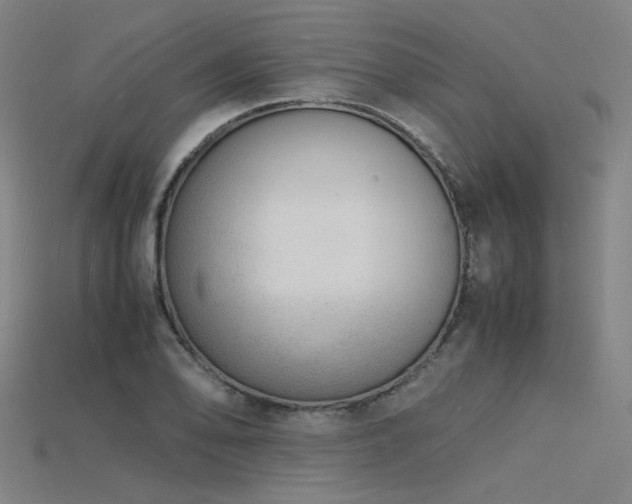 X0000115841078200911131526