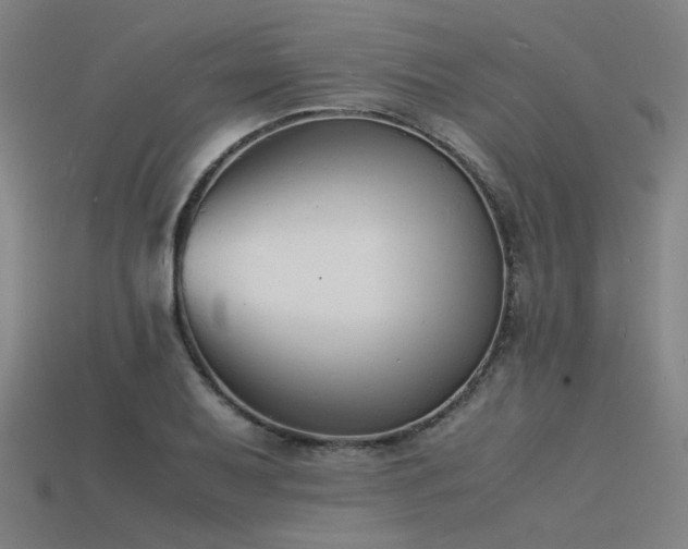X0000115841079200911131526