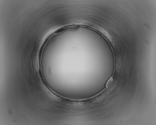 X0000115841080200911131526