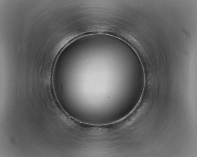 X0000115841081200911131526