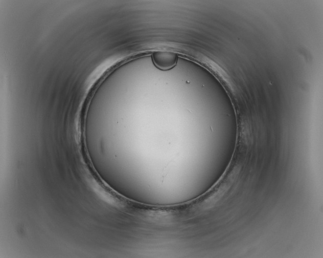 X0000115841082200911131526