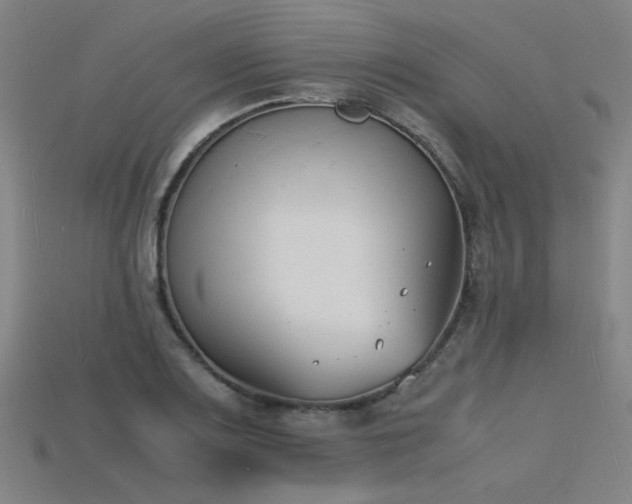 X0000115841083200911131526
