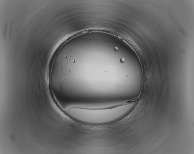 X0000115841084200911131526