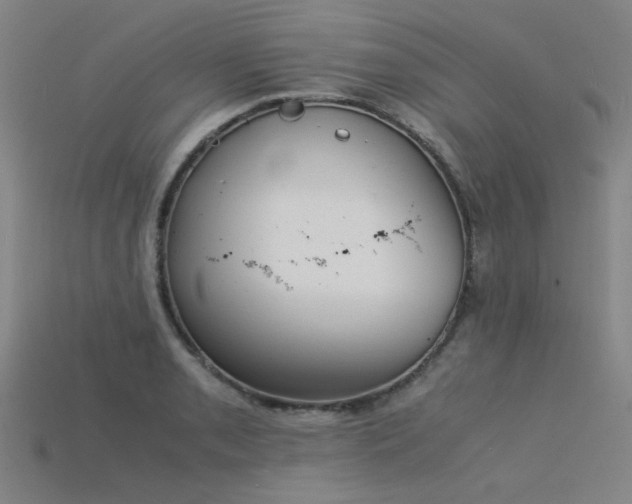 X0000115841085200911131526