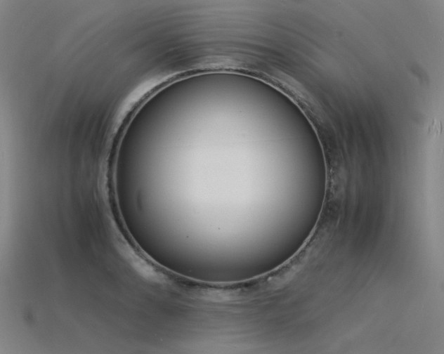 X0000115841086200911131526