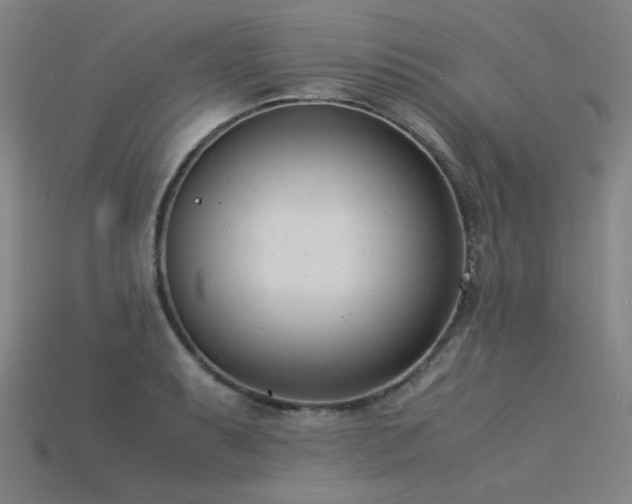 X0000115841087200911131526