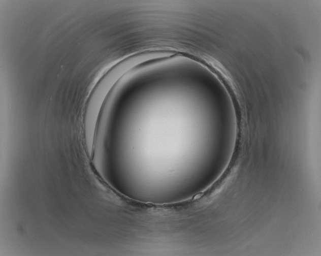 X0000115841089200911131526