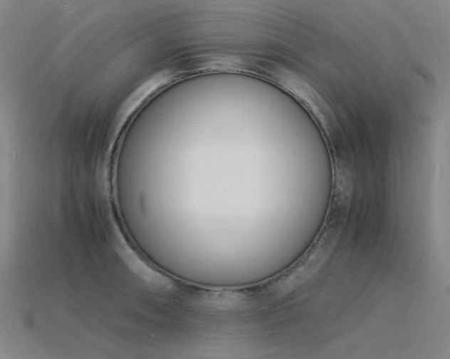 X0000115841090200911131526