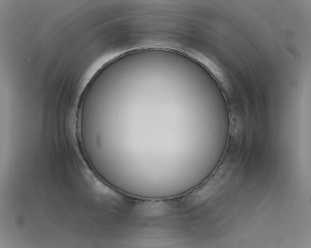 X0000115841094200911131526