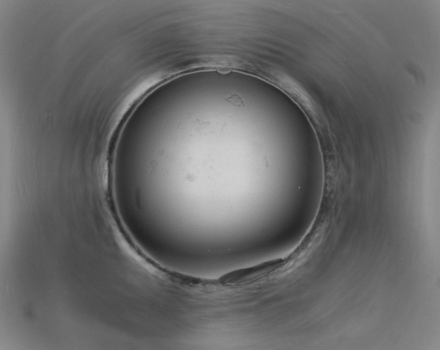X0000115841095200911131526
