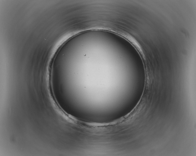 X0000115841096200911131526