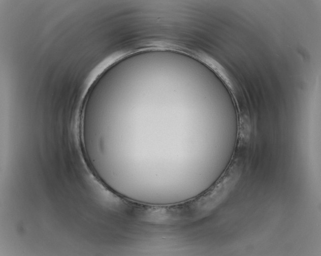 X0000115841098200911131526