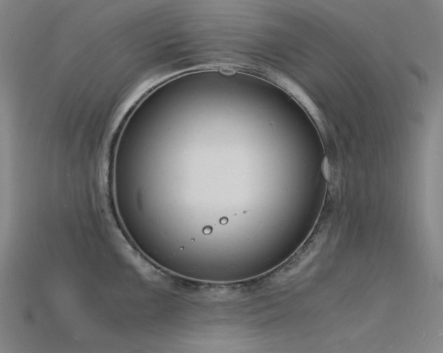 X0000115841099200911131526