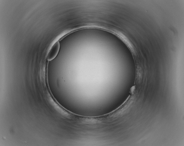 X0000115841100200911131526