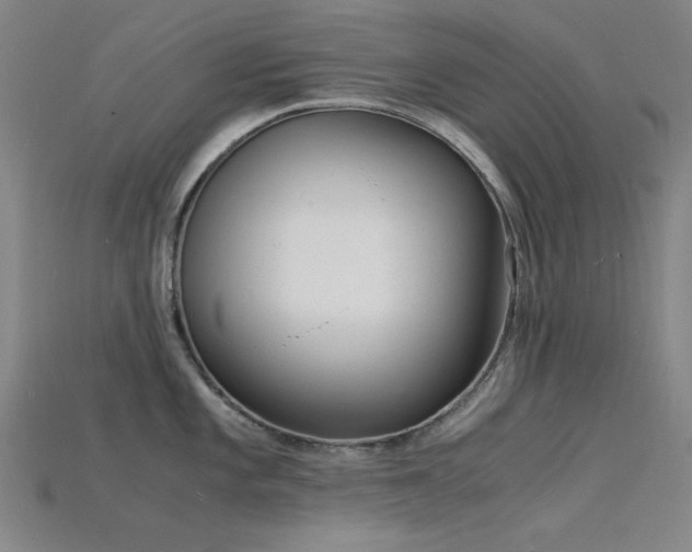X0000115841101200911131526