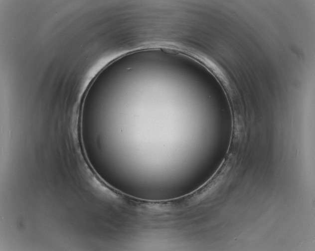 X0000115841102200911131526