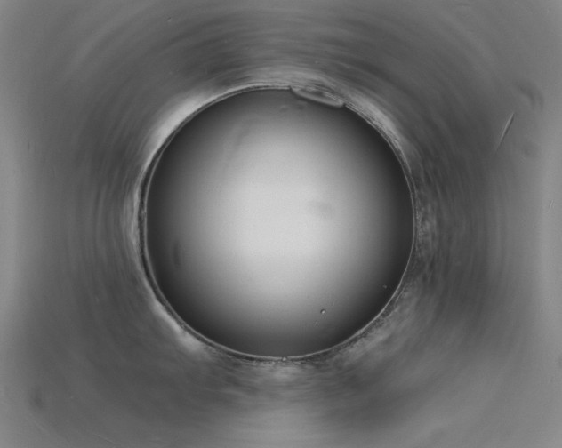 X0000115841103200911131526