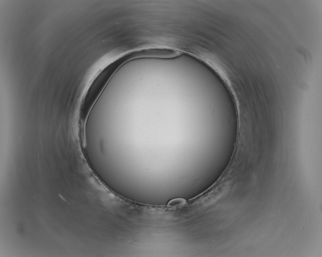 X0000115841104200911131526