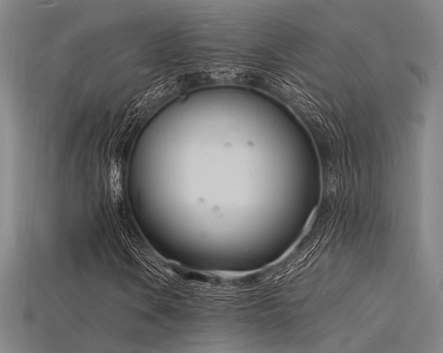 X0000115841106200911131525