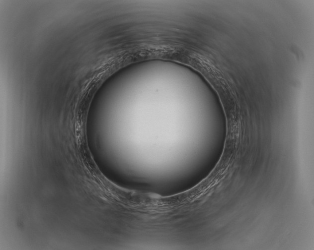 X0000115841109200911131525