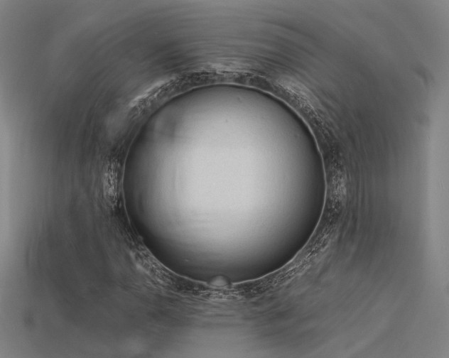 X0000115841110200911131525