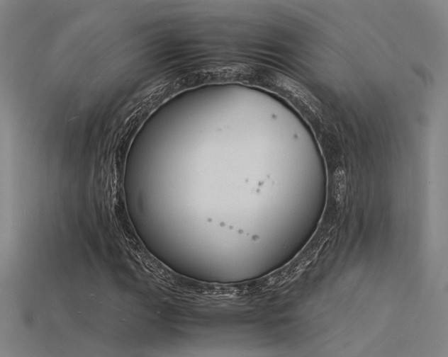 X0000115841111200911131525