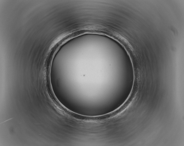 X0000115841114200911131525