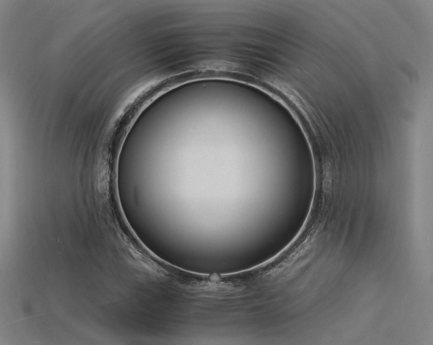 X0000115841115200911131525