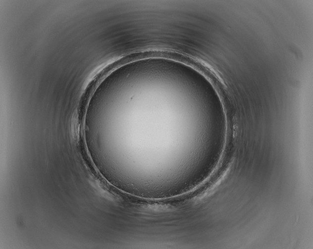 X0000115841117200911131525