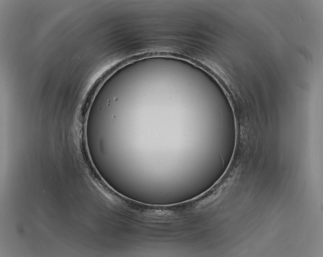 X0000115841119200911131525