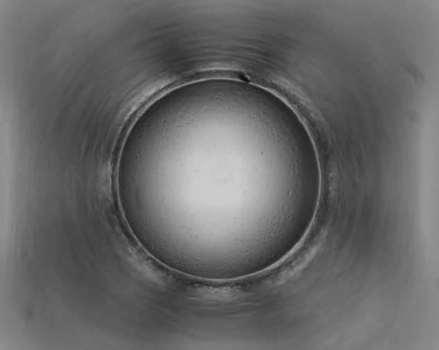 X0000115841121200911131525