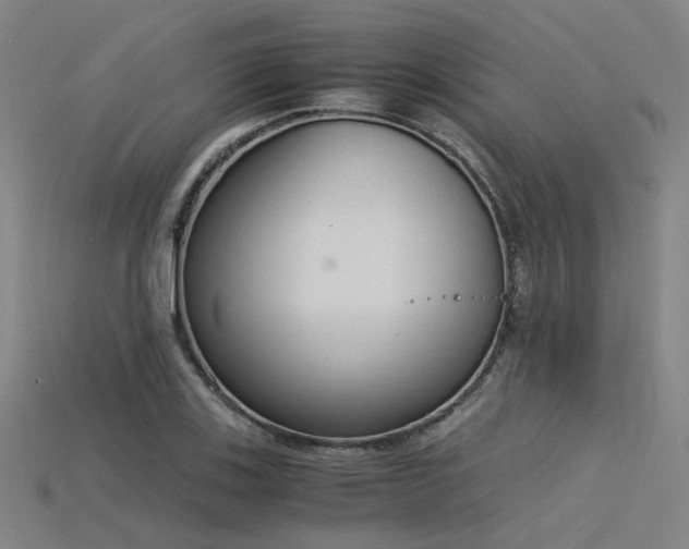 X0000115841123200911131525