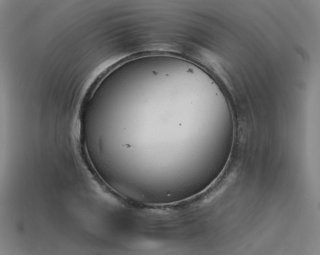 X0000115841125200911131525