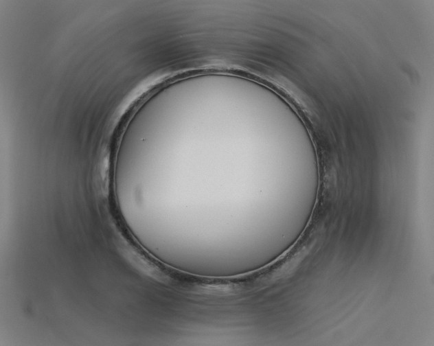 X0000115841126200911131525